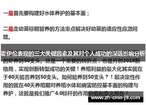 霍伊伦表现的三大关键因素及其对个人成功的深远影响分析