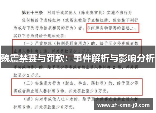 魏震禁赛与罚款：事件解析与影响分析